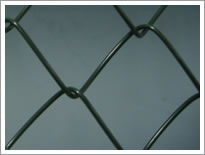 Chain Link Fence