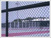 Chain Link Fence